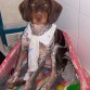 con 5 meses